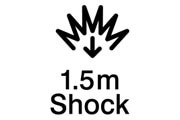 Everio R shockproof logo